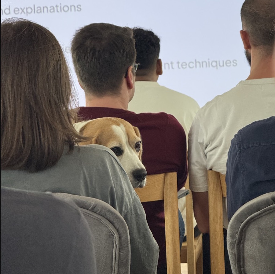 A dog at an Arbio learning session