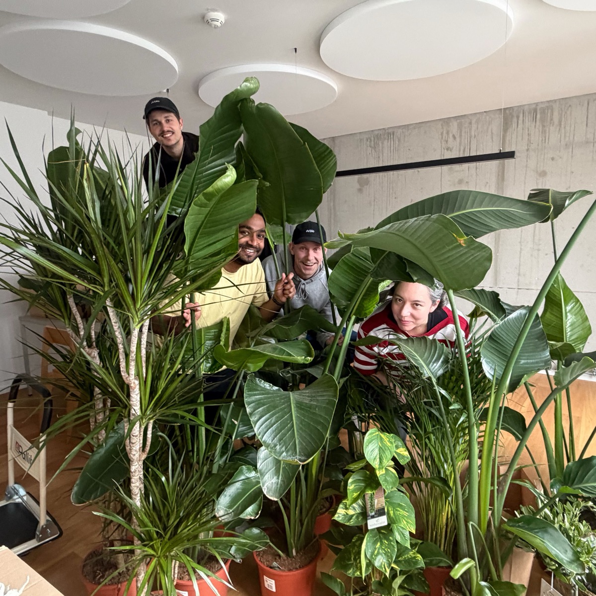 Arbians in the office